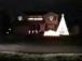 Wild Christmas Lights